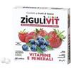 Ziguli Zigulì Vit Vitamine e Minerali Frutti Di Bosco 40 Palline