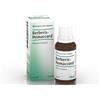 GUNA SpA Berberis Homac 30ml Gtt Heel