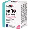 CAMON SpA ENTEROSALUS 20BUST 2.5G