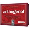 LA STREGA Srl MASQUELIER'S ANTHOGENOL 90CPS