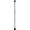 JUWEL Aquarium - NovoLux LED 80 bianco