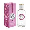 ROGER&GALLET (LAB. NATIVE IT.) ROGER&GALLET HERITAGE GINGEMBRE EAU DE PARFUM 100 ML