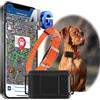 Zeerkeer 4G GPS Cani da caccia Tracker senza ABO localizzazione dal vivo in tutto il mondo, impermeabile Collare per cani con ricerca di animali domestici grazie alla luce e al suono e al dispositivo
