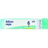 Boiron Allium cepa Boiron 6CH Medicinale Omeopatico, 80 granuli 4g