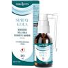 ERBA VITA Spray Gola integratore alimentare a base di estratti vegetali, acido ialuronico e miele d'Acacia, 20 ml
