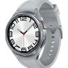 Watch Samsung Galaxy Watch 6 Classic R965 47mm LTE Region West - Silver
