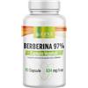 EFNE | Berbérine 97% de Concentration | Dosage Élevé 634 MG/Capsule | Extrait de Berberis - 1500 mg | 90 Gélules Végétaliennes avec Berbérine HCl |