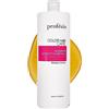 PROFESIA Shampoo Capelli Colorati con Estratti di Mirtillo, Shampoo Professionale Idratante per Capelli Tinti, Protegge il Colore, Dona Brillantezza, Morbidezza e Vitalità, 1000 ml