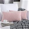 Sunia Fodera per Cuscino di tiro Set di 2 Federe per Cuscino 30x50cm Rettangolare Decorativa Fodere per Cuscini Moderne in Velluto per Divano Letto Divano Sedia Camera da Letto Soggiorno Copricuscini