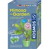 Kosmos 617509 Mimosa Garden Grow and Explore Plants Set completo con mini serra Set sperimentale per bambini dai 6 ai 10 anni