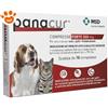 MSD Dog & Cat Panacur Forte - Confezione Da 10 Compresse