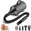 Blanlody Soffiatore per Cani Blower Molto Silenzioso, 5,2 CV/3800 W, velocità Regolabile, Ventilatore per la Cura del Cane con 4 Diversi ugelli, Tubo Elastico e Spazzola per la Cura (Nero)