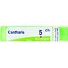 BOIRON Srl CANTHARIS Tubo 5CH