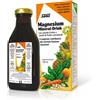 SALUS HAUS Gmbh & Co KG Salus Magnesium Mineral Drink Flacone da 250ml