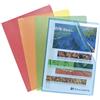 Exacompta 56119E Buste, 32.70 x 24 x 0.50 cm, Multicolore