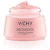 Vichy Neovadiol Rose Platinium Crema Giorno Fortificante E Rivitalizzante 50ml