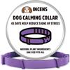 INCENS Collare Calmante per Cani, Progettato per Alleviare l'Ansia, Regolabile, Dura 45 Giorni, Adatto a Piccola e Grande Taglia, Colore Viola - 1 Pz.