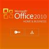 MICROSOFT OFFICE 2010 HOME AND BUSINESS (WINDOWS) IT