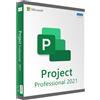MICROSOFT PROJECT PROFESSIONAL 2021 (WINDOWS) IT
