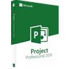 MICROSOFT PROJECT PROFESSIONAL 2019 IT