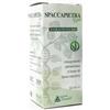 ALCHIMIA BENOIT Srl Spaccapietra Ben, Estratto fluido, 50 ml