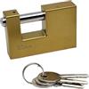 FAST WORLD SHOPPING Lucchetto Corazzato Antiscasso con 3 Chiavi, Catenaccio in Ottone con Grillo 9 mm, Sicurezza per Moto, Serranda, Cancello e Garage, Alta Protezione, Lunghezza 80 mm