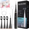 Eeiiey Sonosparkle SonoSparkle - Spazzolino portatile per la pulizia dei denti, per la pulizia dei denti, 31.000 vibrazioni al minuto, livello 6 impermeabile, con 3 spazzole (nero)