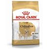 Royal Canin Chihuahua Cibo secco per cani adulti 500 g