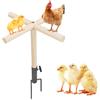 Dnoifne Gioco-Posatoio per Galline da Esterno con Pali in Legno e Piatto di Fissaggio in Metallo - Accessorio per Pollai, Adatto a Galline, Pulcini, Galli e Pappagalli - 42 × 42 × 68 cm