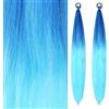 Dalababa 2 Pezzi Extension Capelli Colorati Bambina, Extension Coda Finta Capelli Colorate con Fascia Elastica, Coda di Cavallo Sintetiche Accessori per Ragazze Donne Partito Festival