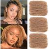 TOOPBIUTI Afro Kinky Bulk Hair 8 Inch 30g/Pack Synthetic Hair for Twist, Braiding, Repair Locs, Dreadlock Extensions, Afro Kinky Curly Bulk Crochet Braids Twists (27#, 8inch-3pc)
