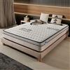Naturalex - Materasso Matrimoniale 160x190 cm - Altezza 24 cm - Visco-Carbone - Schiuma Memory HR e Lattice Blu - Ergonomico, Semisolido, Ipoallergenico, Ventilato - Lato Invernale ed Estivo
