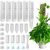 TOPRUNYI Moss pole 6 Pezzi,Bastone per Piante Rampicanti,Sostegno per Piante,Palo di Sfagno per Monstera,Moss Pole Plastic,4 Spille, 4 Bottiglie a Goccia, 4 Diaframmi di Riproduzione, 100 Fascette
