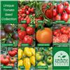 Nojaus Sėklos Nojus - Set di semi di pomodoro - 10 varietà - Kit di avviamento - 10 confezioni - Semi Scatola di verdure 10 varietà - Scatola di semi