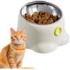 Generic Ciotole per gattini, ciotola rialzata per gatti | Ciotole per gatti con supporto inclinato | Ciotola per gatti in acciaio inox | Ciotola per cibo per gatti | Ciotola per acqua per gatti | Ciotole