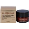 LABO INTERNATIONAL Srl COLLAGENINA CREMA NOTTE 2 50ML