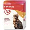 Beaphar Fiprotec Gatto - 3 Pipette