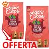 Edgard Cooper Dog Senior Pollo e Salmone - Offerta [PREZZO A CONFEZIONE] Quantità Minima 2, Sacco Da 12 Kg