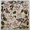 Pellicola Modellabile Magnolia Botany Serie 4 nuova versione