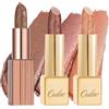 Oulac Set di Rossetti Metallici Nude, Finitura Opaca Metallizzata, Formula Ad Alta Pigmentazione e Idratante, Liscia e Senza Granuli, Vegano 2PCS