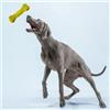 Croci Gioco per cani in gomma naturale di cauciù Panton Croci colori assortiti - osso - 15 cm - Giochi per cani - 1° ORDINE? scegli lo sconto BZR5 / BZR20 + 200 punti fedeltà