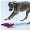 Croci Gioco per cani in gomma naturale di cauciù Panton Croci colori assortiti - coccodrillo - 24 cm - Giochi per cani - 1° ORDINE? scegli lo sconto BZR5 / BZR20 + 200 punti fedeltà