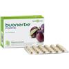 BIOS LINE SpA Bios Line Buonerbe Forte Integratore Per L'Intestino 90 Compresse