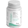 Aurora Biofarma Bendiar Maxi 20 Compresse