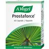 ANFATIS SpA prostaforce 60 capsule vogel
