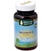 MAP ITALIA Srl melomap b polvere 30 g