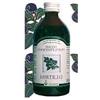 ARCANGEA Srl mirtillo succo 200ml arcangea