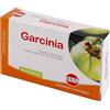 KOS Srl garcinia estratto secco 60 compresse
