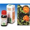 SPECCHIASOL Srl calendula off 5 50ml tm