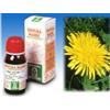 SPECCHIASOL Srl tarassaco 28 50ml tm